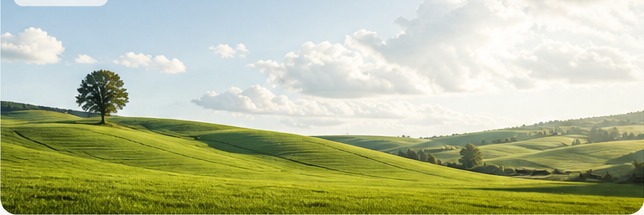 Latest article image for Useful Information