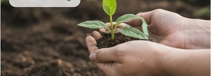 Improving soil health for long-term productivity