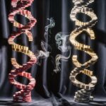 double spiral betting strategy