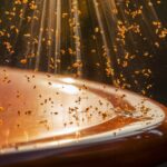 micro wins for blossom edges