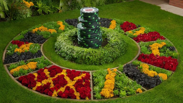 plant based gambling strategy tips