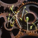 tactical growth in gaming